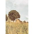 thumbnail image 3 of Aledanda 11x14 Black Modern Framed Museum Art Print Titled - Grass and Sky Light, 3 of 5