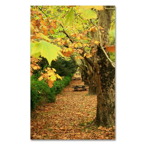 Trademark Fine Art "Autumn Conversations" Canvas Art by Beata Czyzowska Young