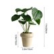thumbnail image 3 of Simulation Plants Decorative Small Potted Plants Office Living Room Desktop Indoor Bonsais Ornaments Bionics Fake Flowers And Greenerys, 3 of 6