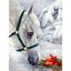 thumbnail image 2 of Cuadros Decorativos Kit de pintura de diamante 5D, caballo, taladro redondo completo, diamantes de imitación, manualidades de arte de pared DIY Tmvgtek embutido en tela, 2 of 9