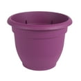 thumbnail image 6 of Bloem Ariana Self Watering Plastic Planter 16" Tequila Sunrise, 6 of 10