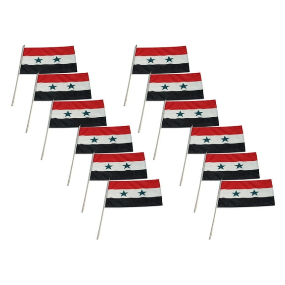 Syria flag 12 x 18 inch - 12 PK