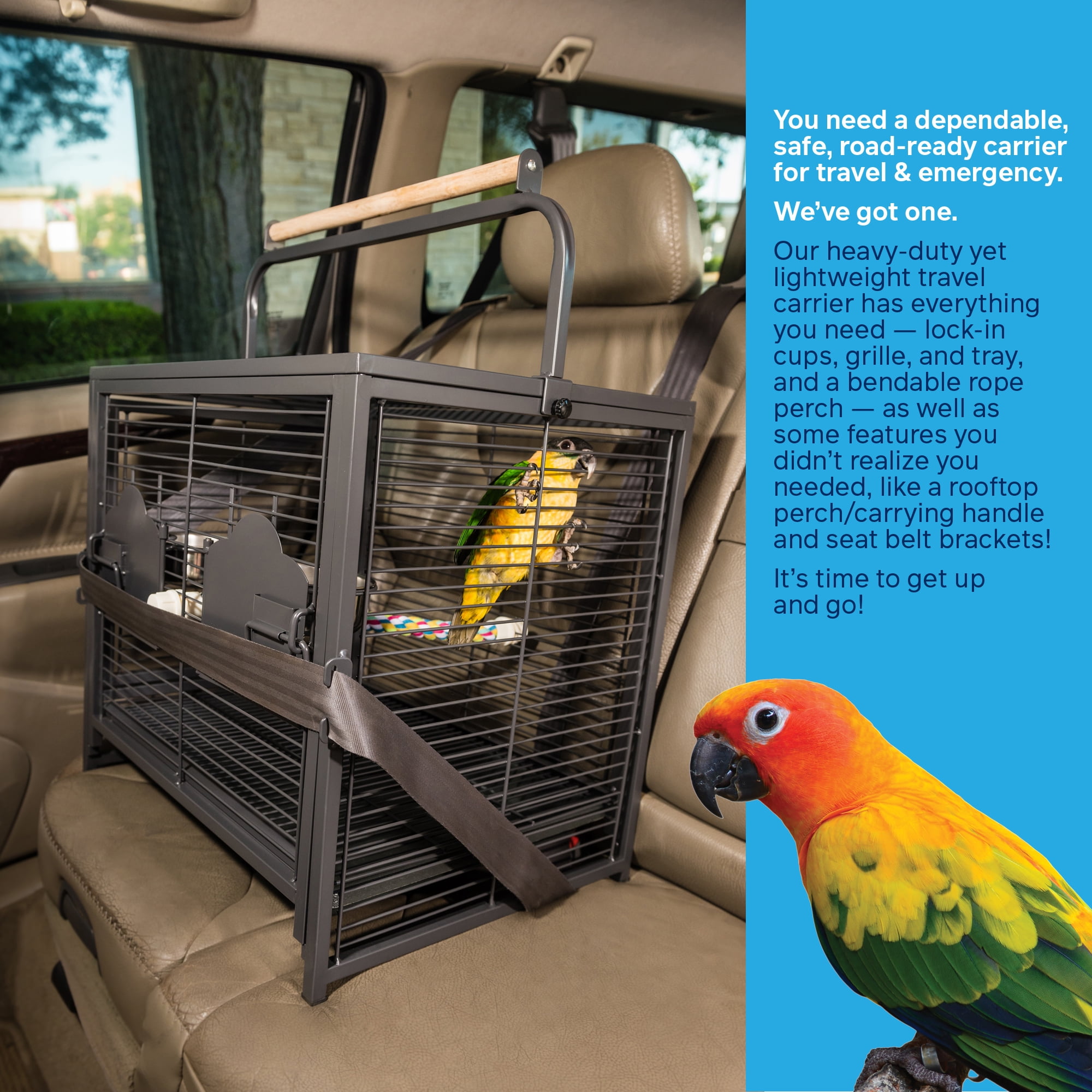 Conure carrier sales