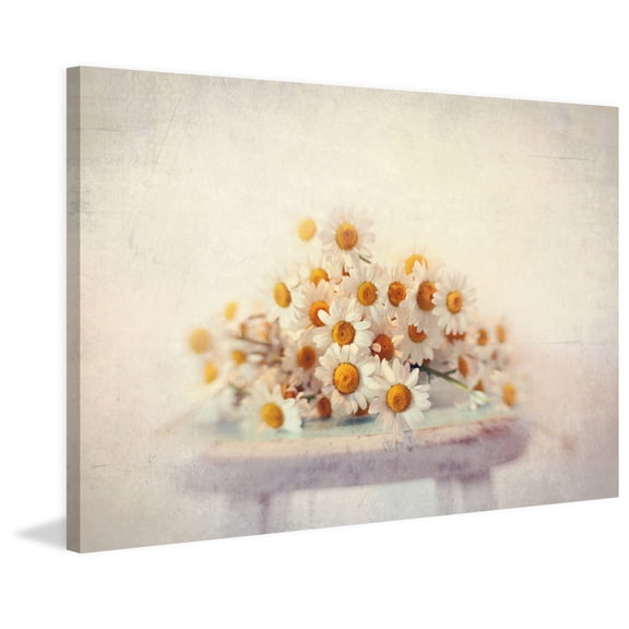 Marmont Hill "Daisies on a Stool" by Sylvia Cook Painting Print on Wrapped Canvas