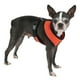 thumbnail image 3 of Puppia arnés suave para perro / gato talla Chico Puppia PDCF-AC30, 3 of 4