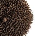 thumbnail image 2 of Vickerman H2SPD000 Natural Spiny Discs - 10/Pack, 2 of 2