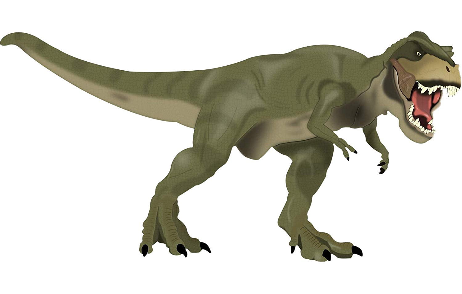 VWAQ Dinosaur Wall Decals Sticker Mural Decor - T Rex Vinyl Peel and Stick Kids Room - Tyrannosaurus Rex Wall Art - CAW1 (24" H X 48" W)