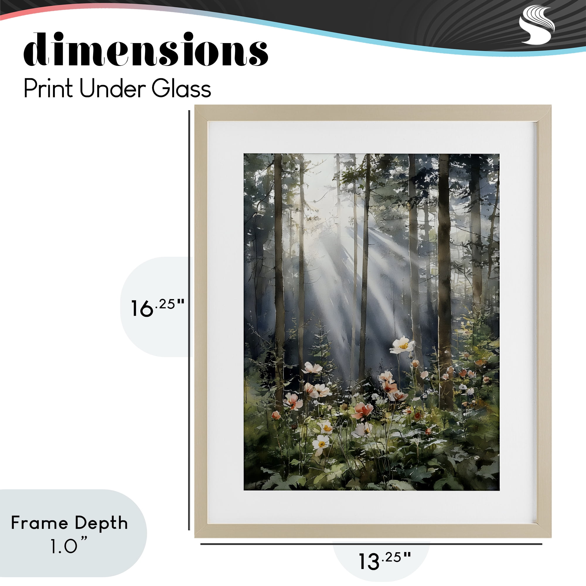 Stupell Industries Sunlit Woods In Morning Birch Framed Print Under Glass, design by Franklyn Gregory