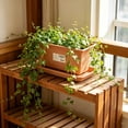 thumbnail image 3 of Rectangular Planter Box for Outdoor and Indoor Vegetable Gardening, Window Box Planter 12.32 x 5.12 x 5.47 Inch, Balcony Patio Flower Pot for Garden and Windowsill, 3 of 4