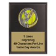 thumbnail image 1 of Motion Softball Plaque 6"X8" | Same Day Awards - Engraving Included, 1 of 4