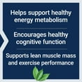 thumbnail image 3 of Life Extension Creatine Acetyl-L-Carnitine Energy Plus, energy support supplement, creatine monohydrate, acetyl-L-carnitine, gluten-free, non-GMO, vegetarian, 30 servings, 3 of 8