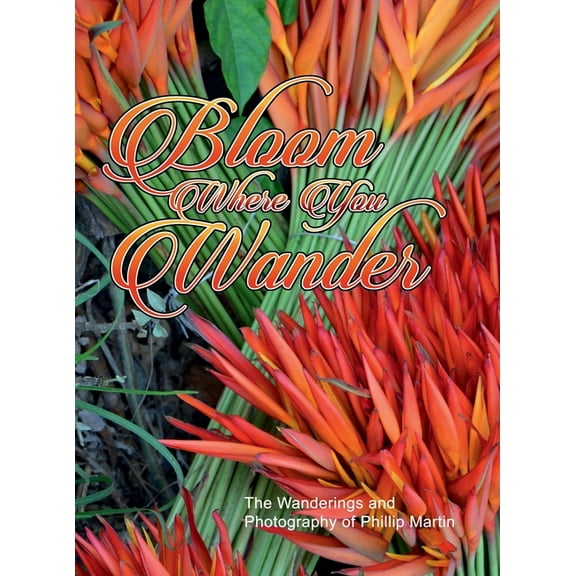 Bloom Where You Wander (Expanded, matte cover): The Wanderings and Photography of Phillip Martin, (Hardcover)