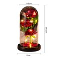 thumbnail image 6 of ZenCart Preserved Rose in Glass Dome LED Light Up Eternal Flower Romantic Forever Rose Gift for Women Valentine's Day Mother's Day, 6 of 8