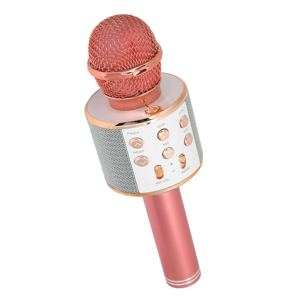 Kit Son Haute Qualité Familial KTV Microphone sans Fil Intégré