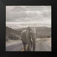 thumbnail image 2 of Phillip, Jamie 15x15 Black Modern Framed Museum Art Print Titled - Safari Street 2, 2 of 5