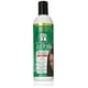 thumbnail image 1 of Parnevu T-Tree Shampoo, 1 of 1