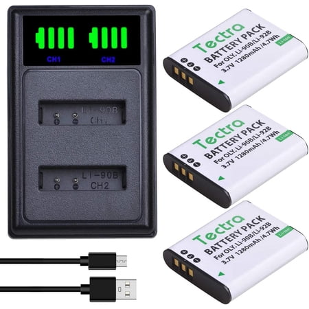 Panasonic VW-VBT190 oplaadbare batterij