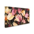 thumbnail image 2 of Trademark Fine Art 'Popping Tulips' Canvas Art by Albena Hristova, 2 of 3