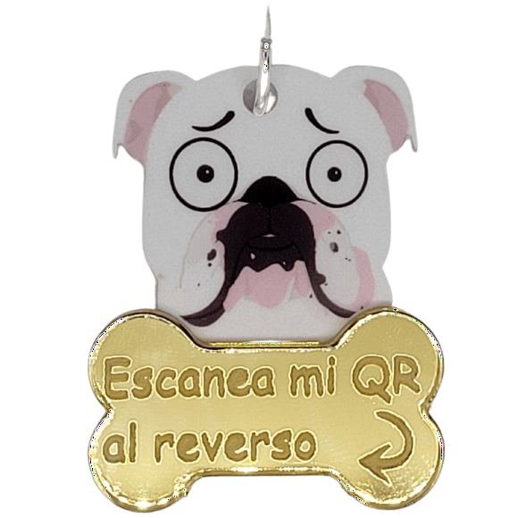TQR BY FAKIRGEEK Placa DE IDENTIFICACIÓN Inteligente para Mascotas QR para Perro Gato- Bulldog Ingles Etiqueta DE IDENTIFICACIÓN Accesorios Dije para Collar DE MASCOTA (Dorado, Blanco)