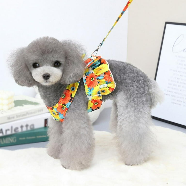 Cute small top dog harness