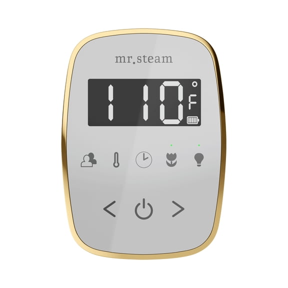 Mr Steam TempoFlex Steam Shower Control and Steamhead in White OilRubBronze