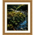 thumbnail image 2 of Maki 15x18 Gold Ornate Wood Framed With Double Matting Wall Art Titled - The Lucky Crop Ii, 2 of 6