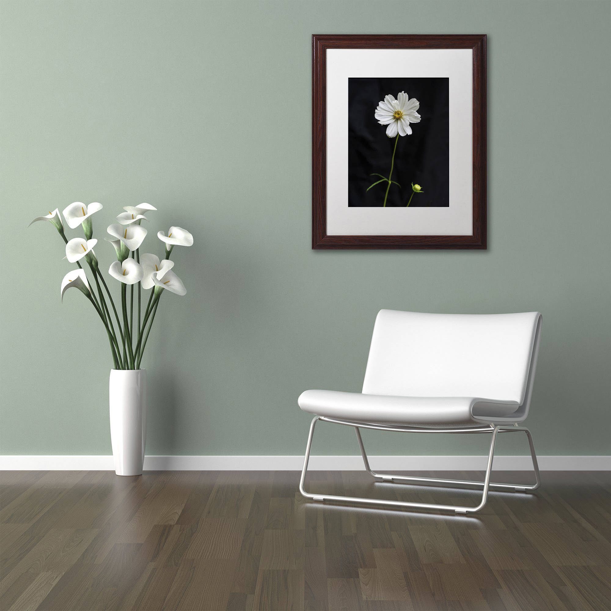 Trademark Fine Art "White Cosmos on Black" Canvas Art by Kurt Shaffer, White Matte, Wood Frame