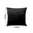 thumbnail image 3 of Efavormart 2 Pack | 18"x18" Velvet Throw Pillow Cover, Decorative Cushion Case - Square - Black, 3 of 5