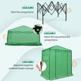 thumbnail image 6 of EAGLE PEAK 6x4 Portable Walk-in Greenhouse Instant Outdoor Gardening Green House Canopy,Green, 6 of 9