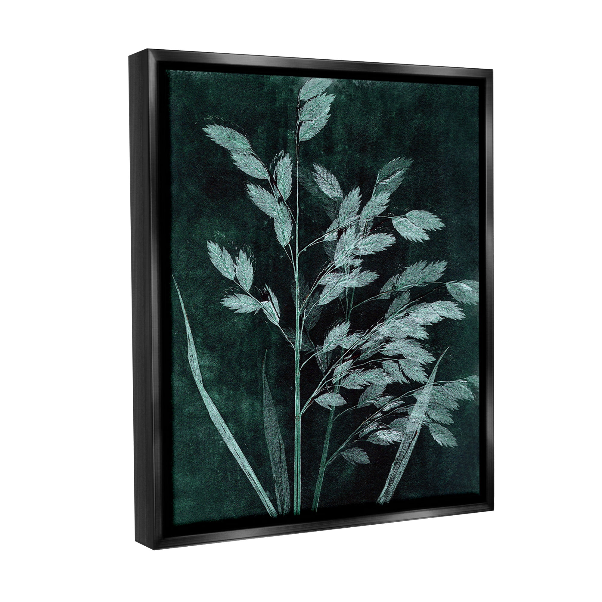 Stupell Industries Green Botanical Imprints Botanical & Floral Painting Black Floater Framed Canvas Art Print Wall Art, 17 x 21
