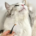 thumbnail image 4 of KMWGRE Pet Tear Stain Remover Brush for Gentle Eye Area Grooming and Hygiene Cleaning Tool for Dogs and Cats Black 12cm, 4 of 8