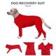 thumbnail image 5 of Vestido Postoperatorio para Perros, Talla L, Color Rojo - Suave y Cómodo para Protección y Recuperación, 5 of 6