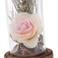 thumbnail image 3 of Exhibición de Decorativo Cloche Bell Frascos Plantas Suculentas Flor Jardín Terrario Hogar de Centro de Rosa claro Soledad Florero de preservación de flores, 3 of 10