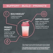 Sunwarrior Micronized Creatine Monohydrate Powder, Vegan Pre Workout Supplement, Lemonade, 30 Servings
