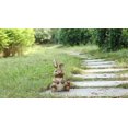 thumbnail image 1 of RABBIT SITTING WITH LADYBUG, 1 of 5