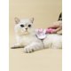 thumbnail image 2 of 1pc Pet Hair Comb, 2 of 4