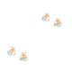 thumbnail image 1 of Aretes Minnieouse 1 par concha mujer aleación de Zinc pendientes brillantes cristal perla joyería fiesta compromiso Type1 NO1, 1 of 6