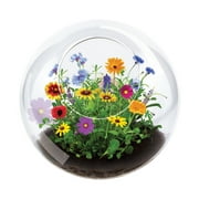 Unique Gardener Glass Terrarium - Wildflower Blooms