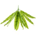 thumbnail image 1 of EXHUMKY Planta De Bonsái Artificial Para De Espacios Con Estilo Y Sin Mantenimiento, 1 of 6