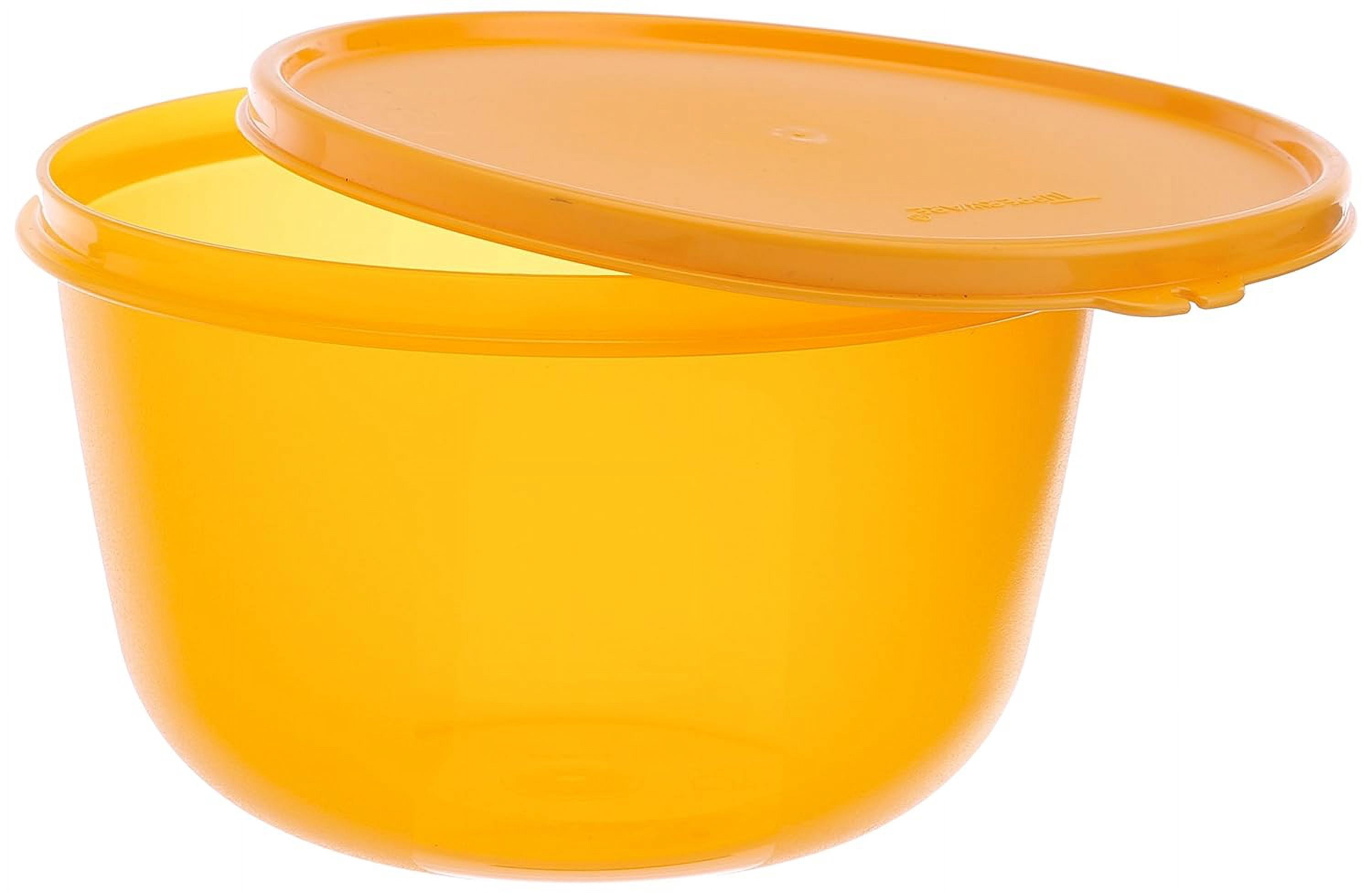 Tupperware SS Modular Plastic Airtight Food Storage Jar & Container (2 Count)