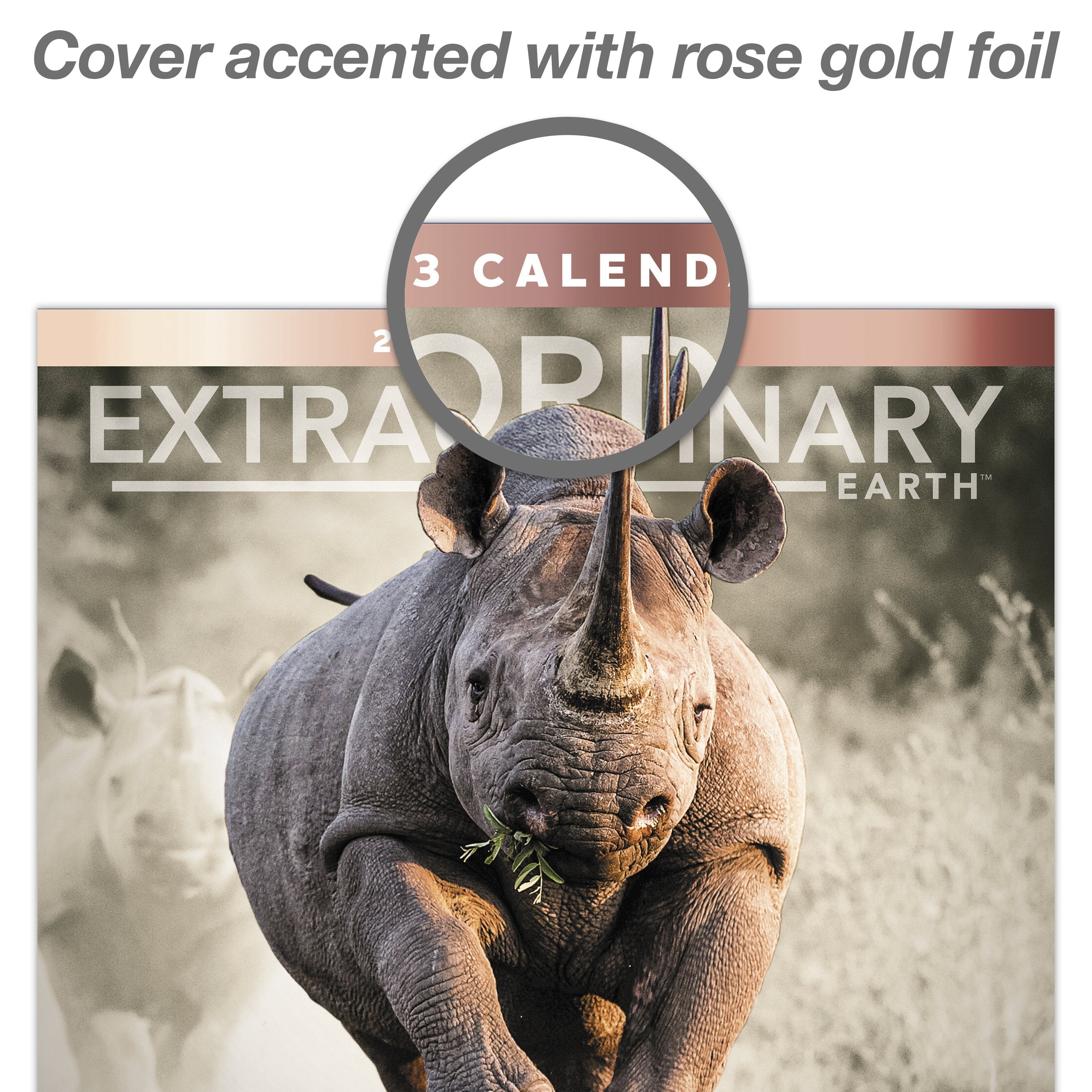 2023 Wall Calendar, Extraordinary Earth, 12" x 12" by Mead (WMET1810-23)