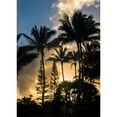 thumbnail image 3 of Head, Danny 14x18 Black Modern Framed Museum Art Print Titled - Palm Silouette II, 3 of 5