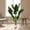 Green 4ft Banana, variant on 3.6FT Artificial Monstera  - Realistic  Tropical Palm Tree for  Decor - Large Faux Monstera Deliciosa with Bendable Stems - Indoor Outdoor