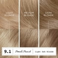 thumbnail image 5 of Clairol ColorStrong Permanent Zero Ammonia Hair Dye, 9.1 Light Ash Blonde Bondi Beach Hair Color, 1 Kit, 5 of 9