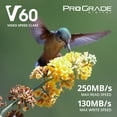 thumbnail image 2 of Tarjeta SD ProGrade Digital 256 GB V60 UHS-II 130 MB/s de escritura 250 MB/s de lectura, 2 of 8
