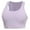 Purple, variant on IROINNID Plus Size Sports Bras for Women Push Up Bra Sports Bra Fitness Running Shockproof Yoga Top Front Zipper No Steel Ring Comfort Sports Bra,Purple