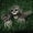 C, variant on cvlncycling Clearance Halloween Decoration Outdoor Halloween Decorations,Skull Skeleton Ground Breaker Stakes,Halloween Decorations