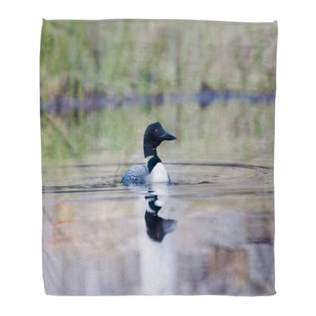 SIDONKU Throw Blanket Warm Cozy Print Flannel Common Loon on Colorful Wavey Lake Water Drops Forming Beak Comfortable Soft for Bed Sofa and Couch 58x80 Inches