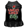 thumbnail image 2 of Mirage Pet Santa's Cutest Elf Screen Print Dog Dress Black Med, 2 of 2