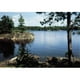 Environmental Graphics C391 Lac dans les Bois Murale – image 1 sur 1